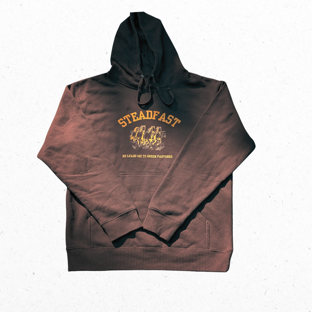 Steadfast Graphic Hoodie