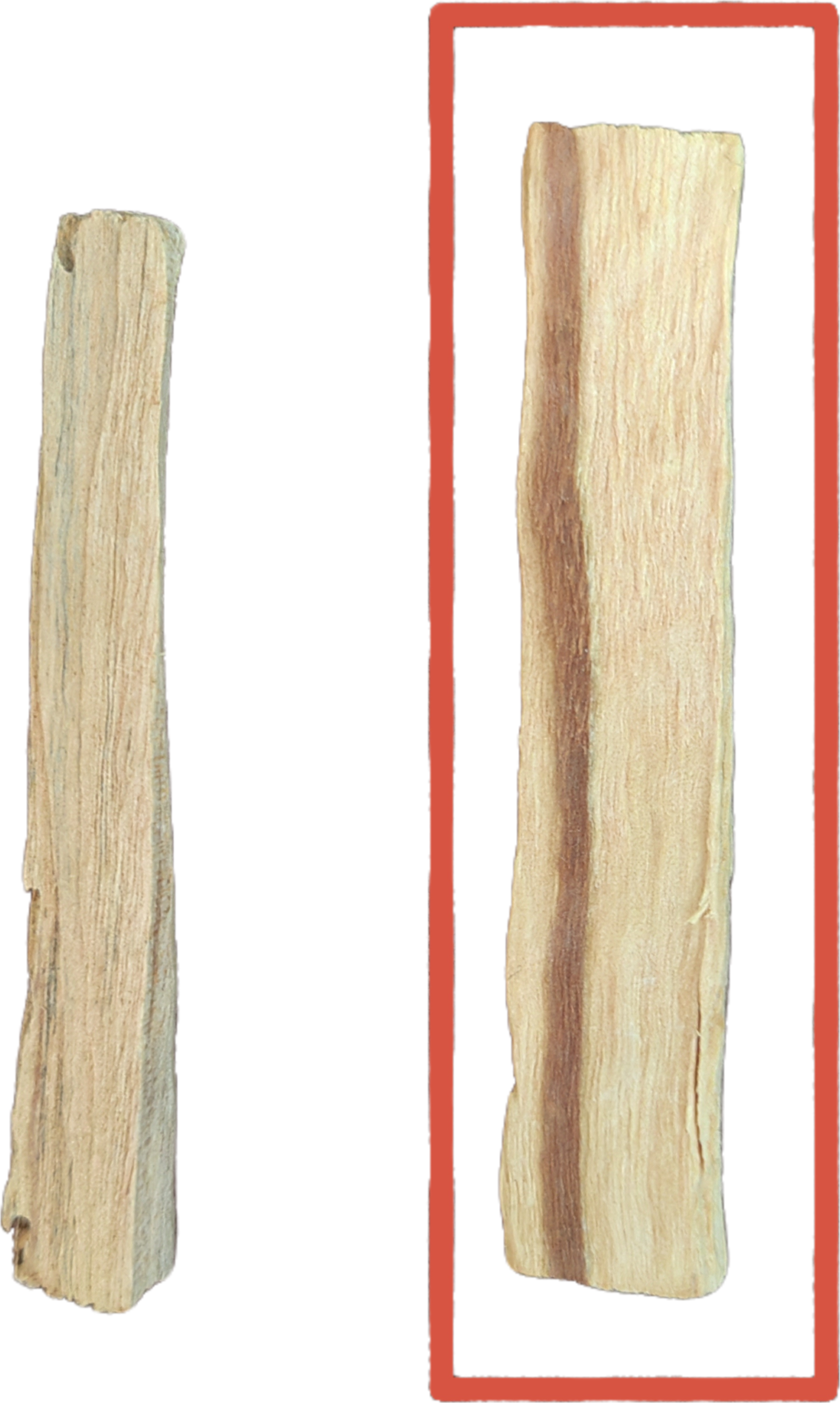 Palo Santo Wooden Stick