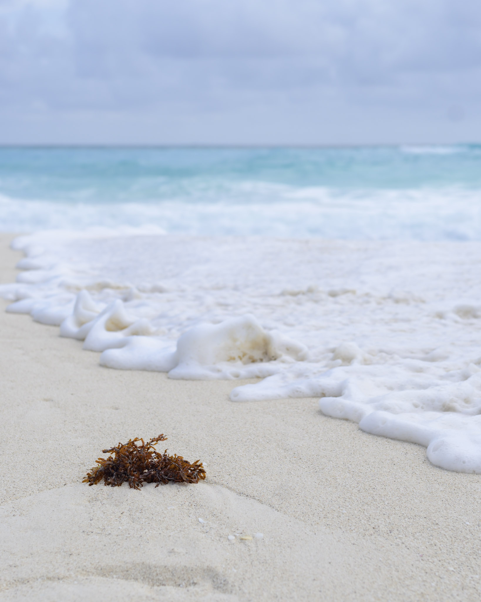 Retratos con alma de tus vacaciones en el Caribe