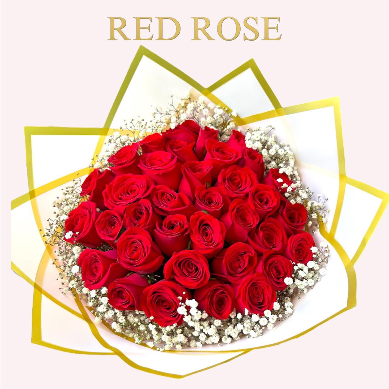 36 Rosas rojas y nube alrededor
