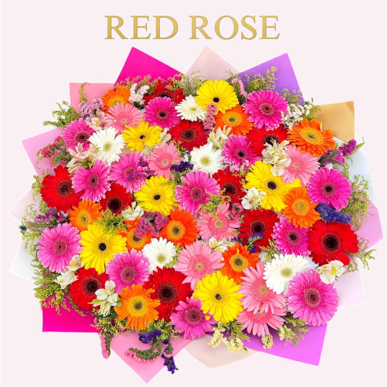 60 Gerberas en varios colores