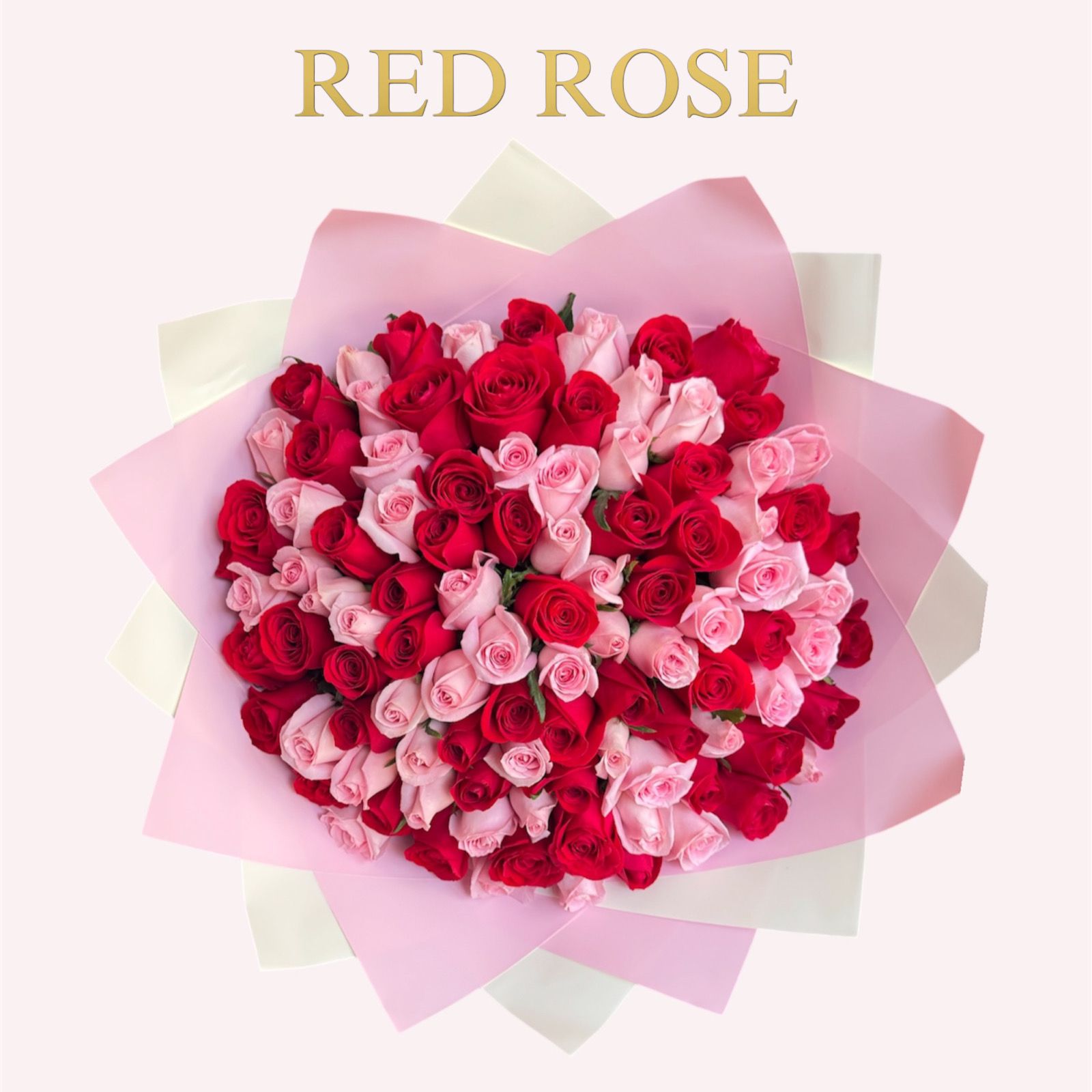 100 rosas combinadas en rojo y rosita