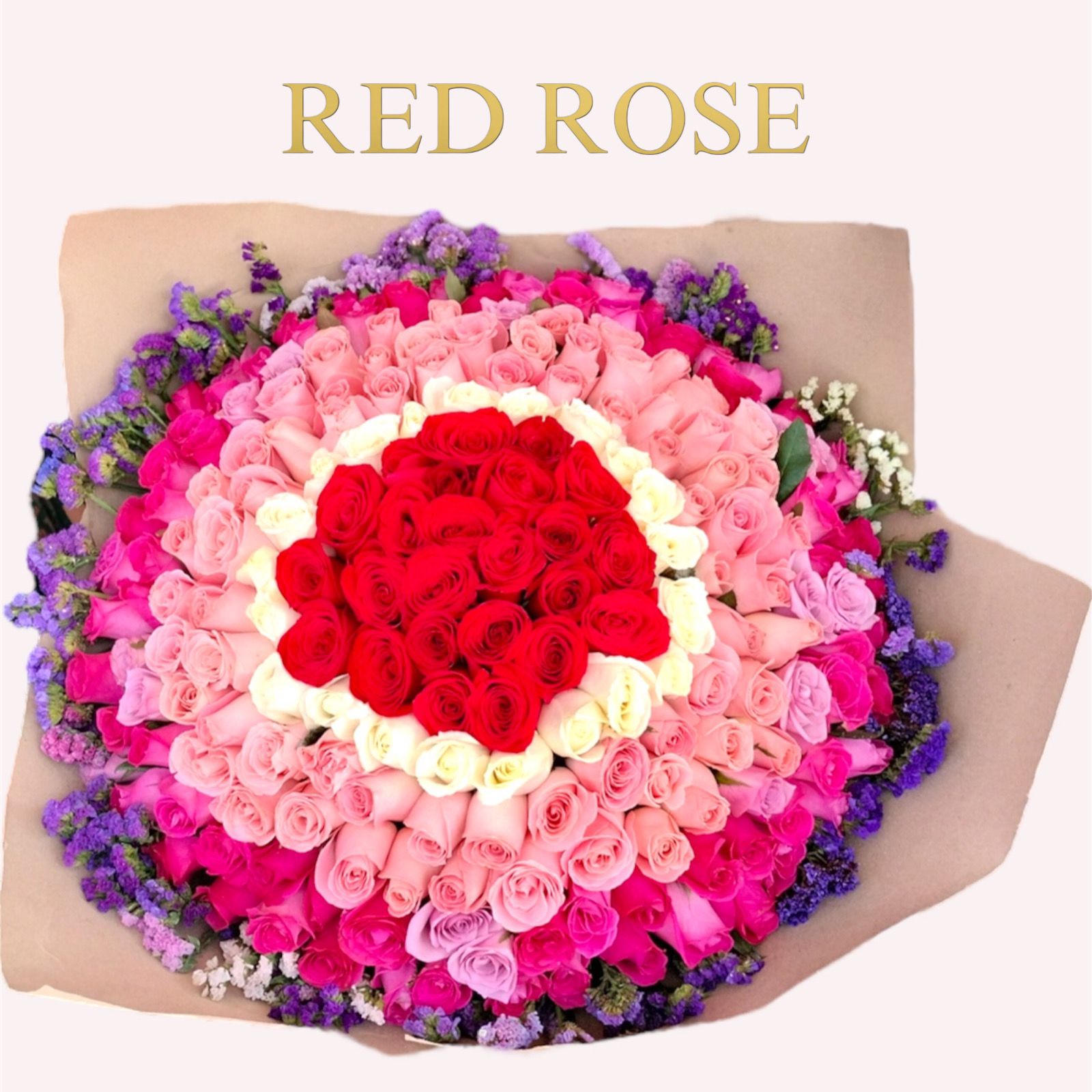 200 Rosas con Leticia alrededor en cuatro colores diferentes