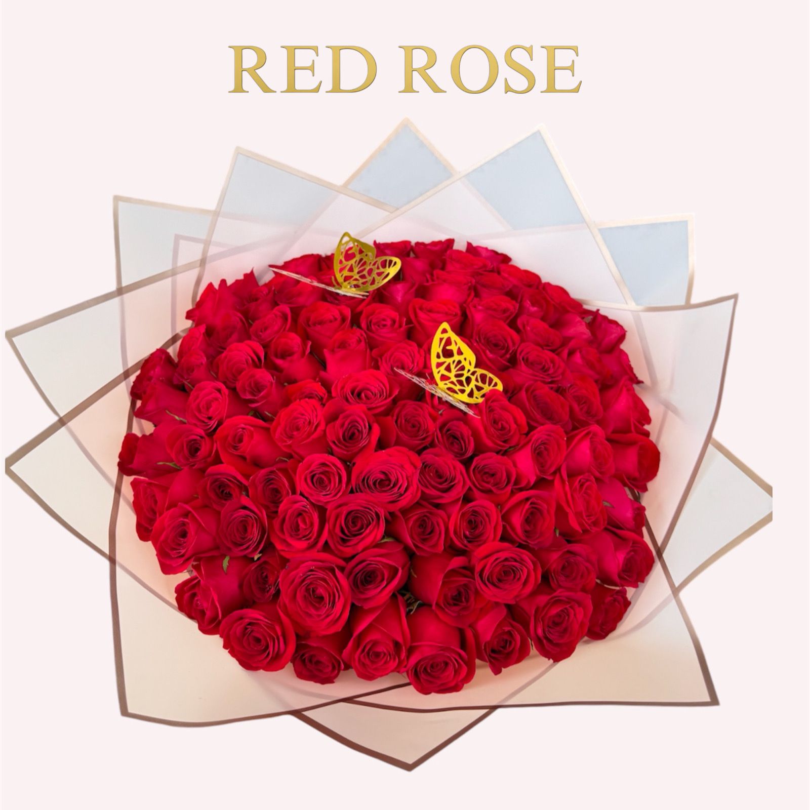 100 rosas rojas