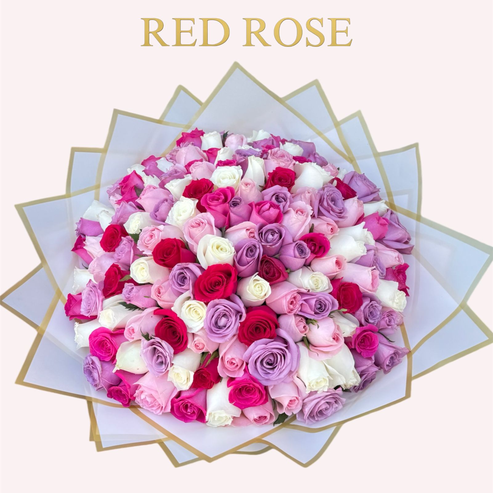 150 Rosas con colores fucsia, lila, blanco y rosita