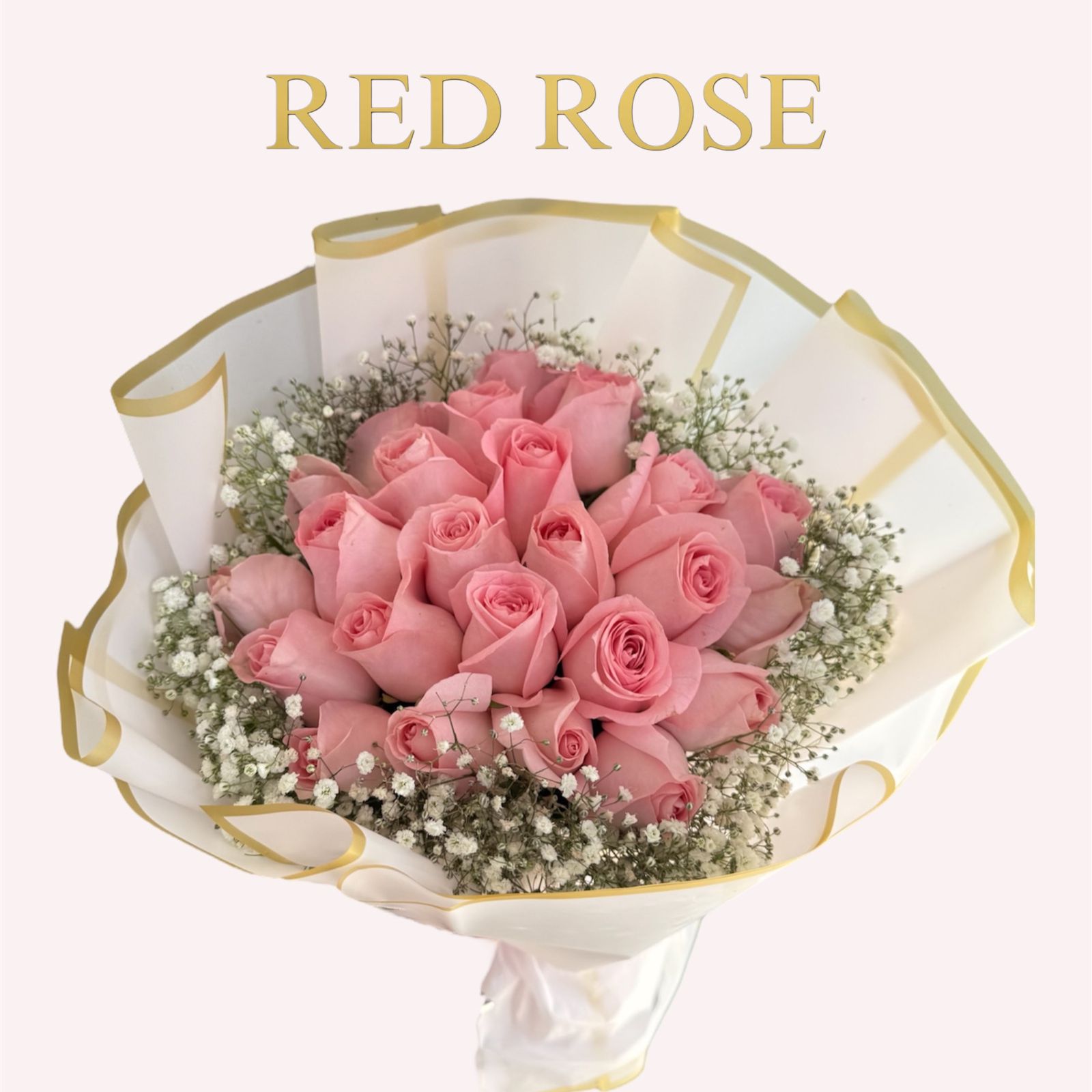 24 rosas rositas con nube alrededor