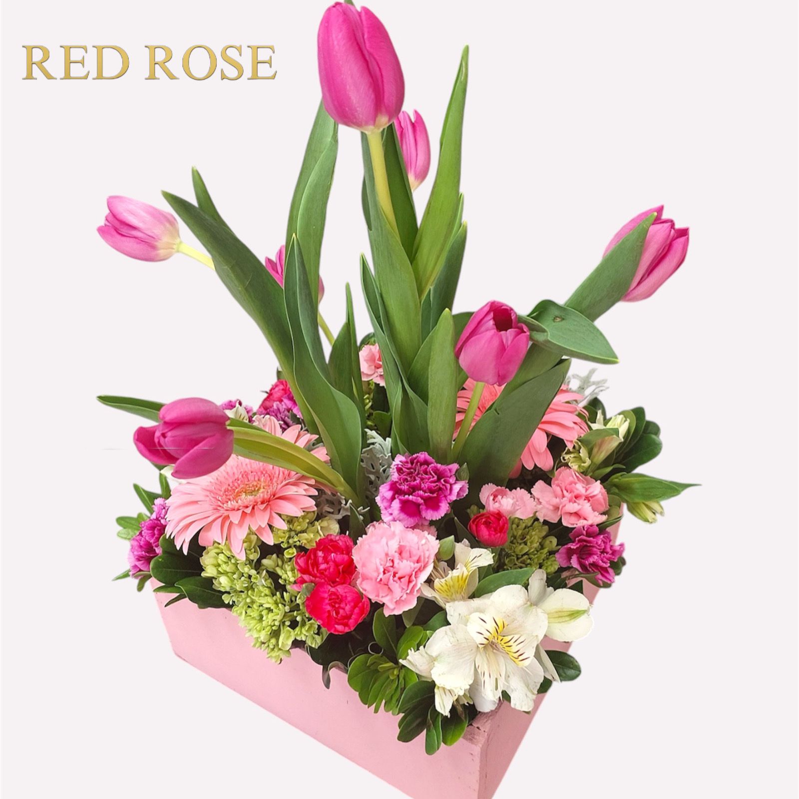 Detalle hermoso, precioso y bonito con seis tulipanes