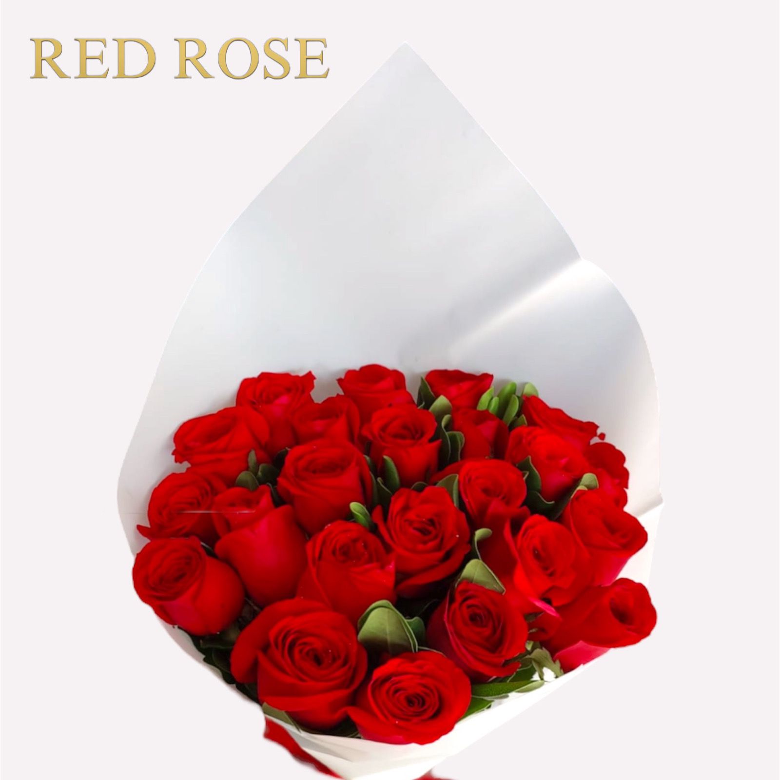 24 rosas rojas