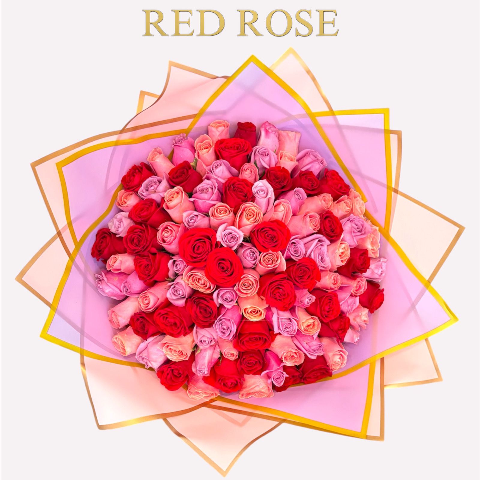 100 rosas en 3 distintos tonos 