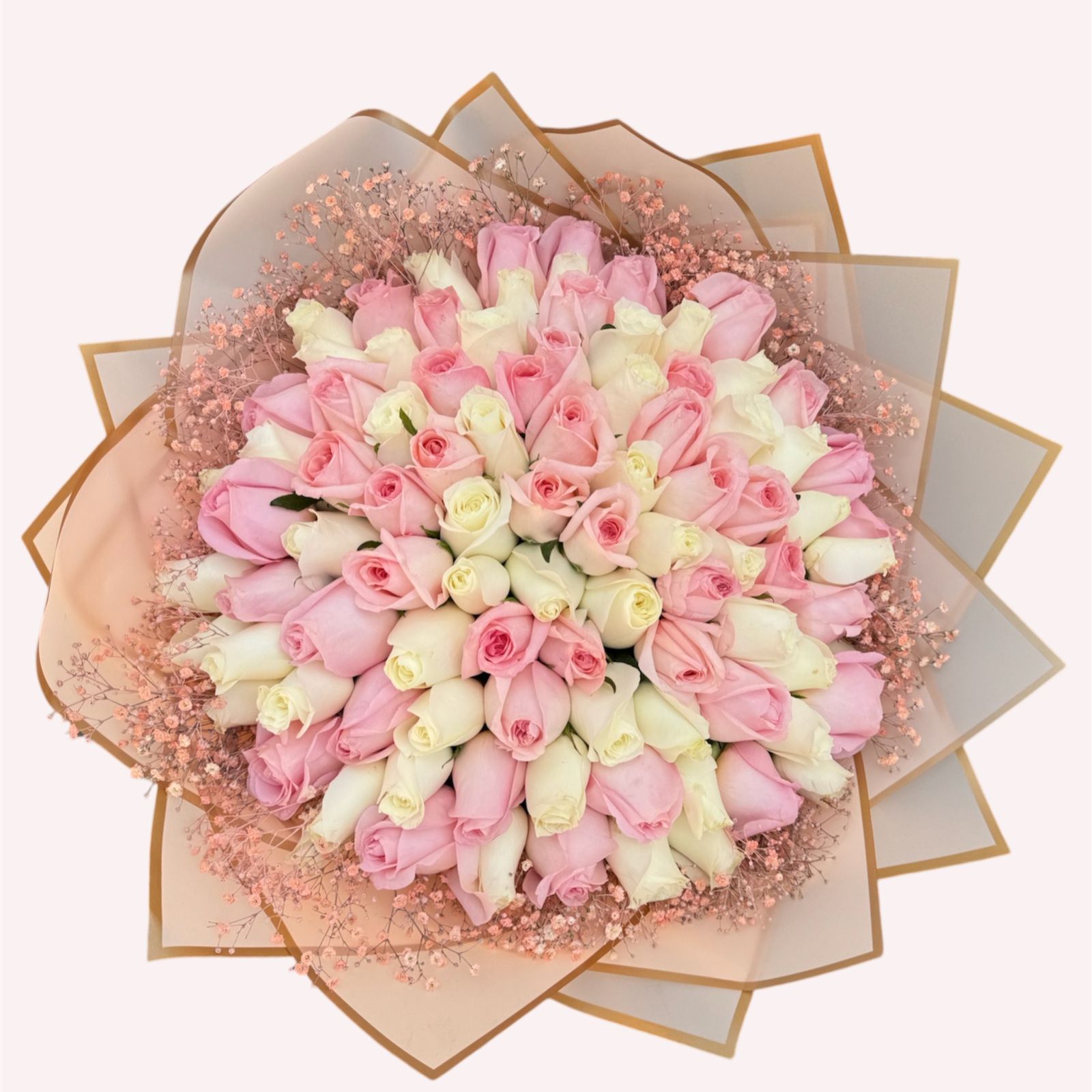 100 rosas con nube rosita alrededor