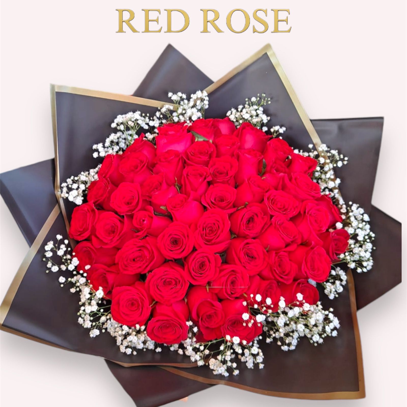 50 rosas rojas con nube 
