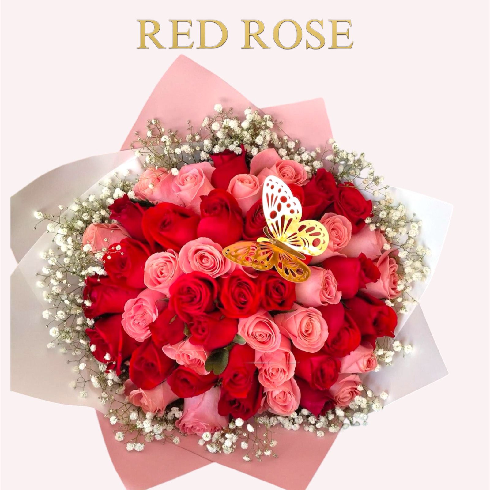 50 rosas mixtas en rojo y rositas con nube alrededor