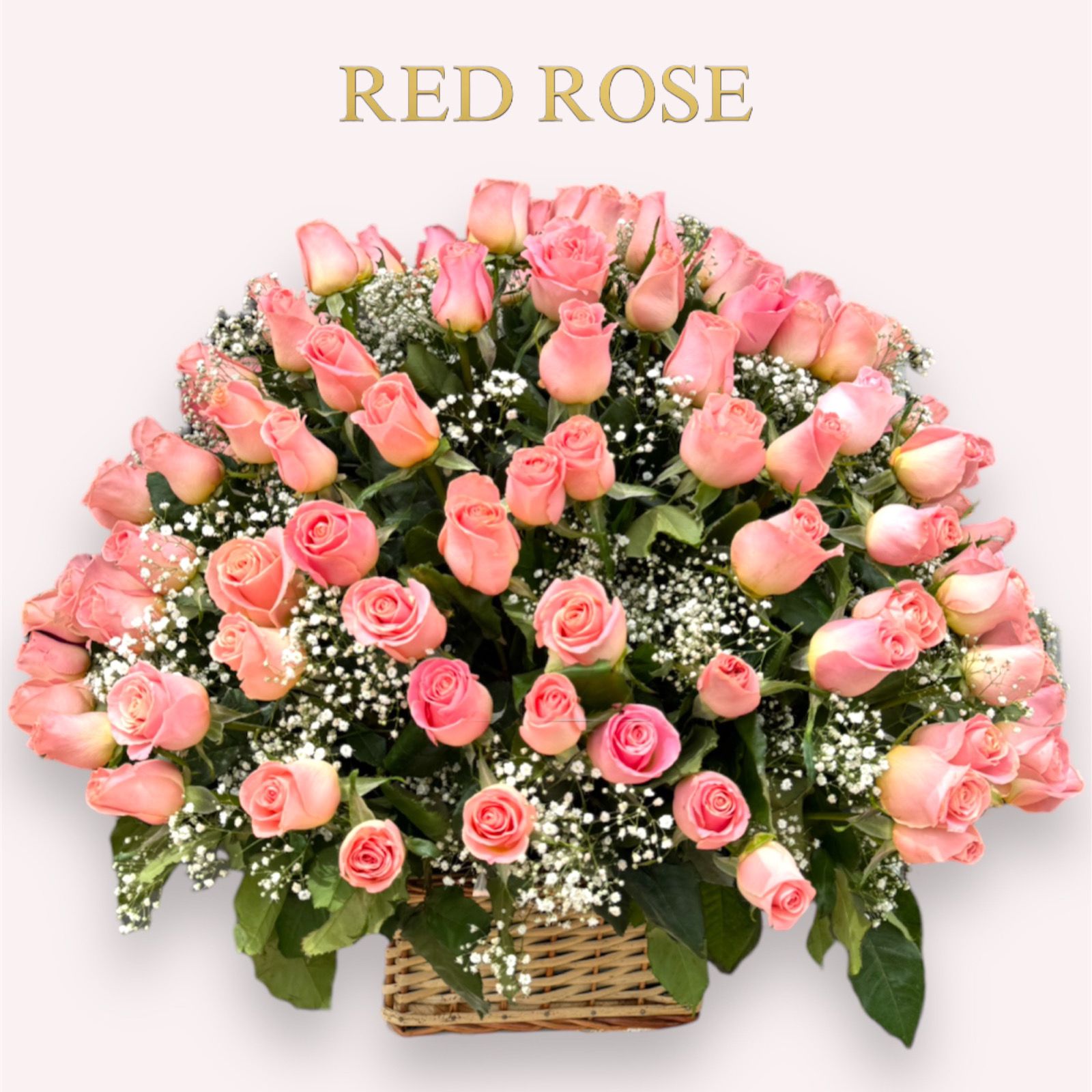 Arreglo grande de 200 rosas en tonos rositas 