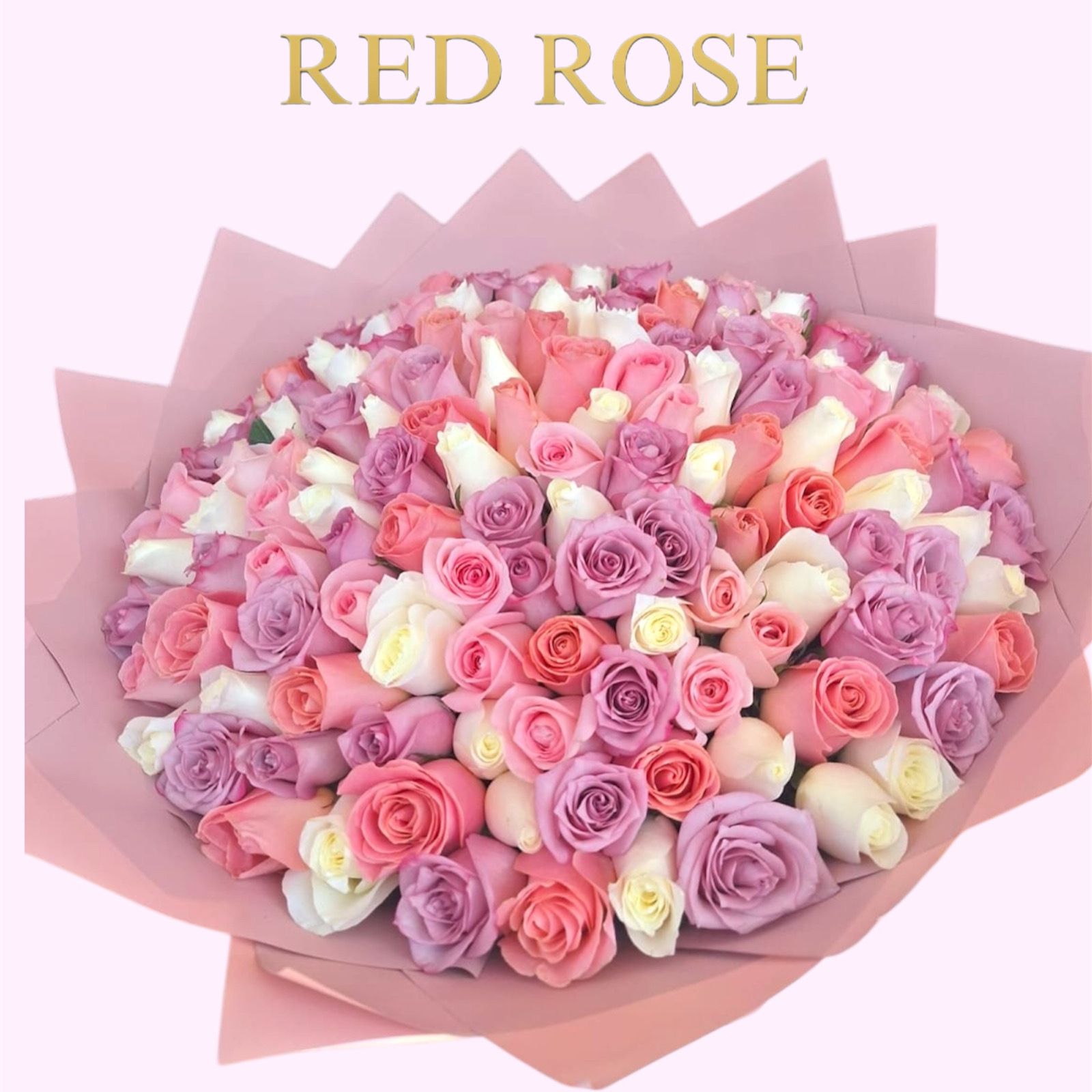 Mix De 200 Rosas