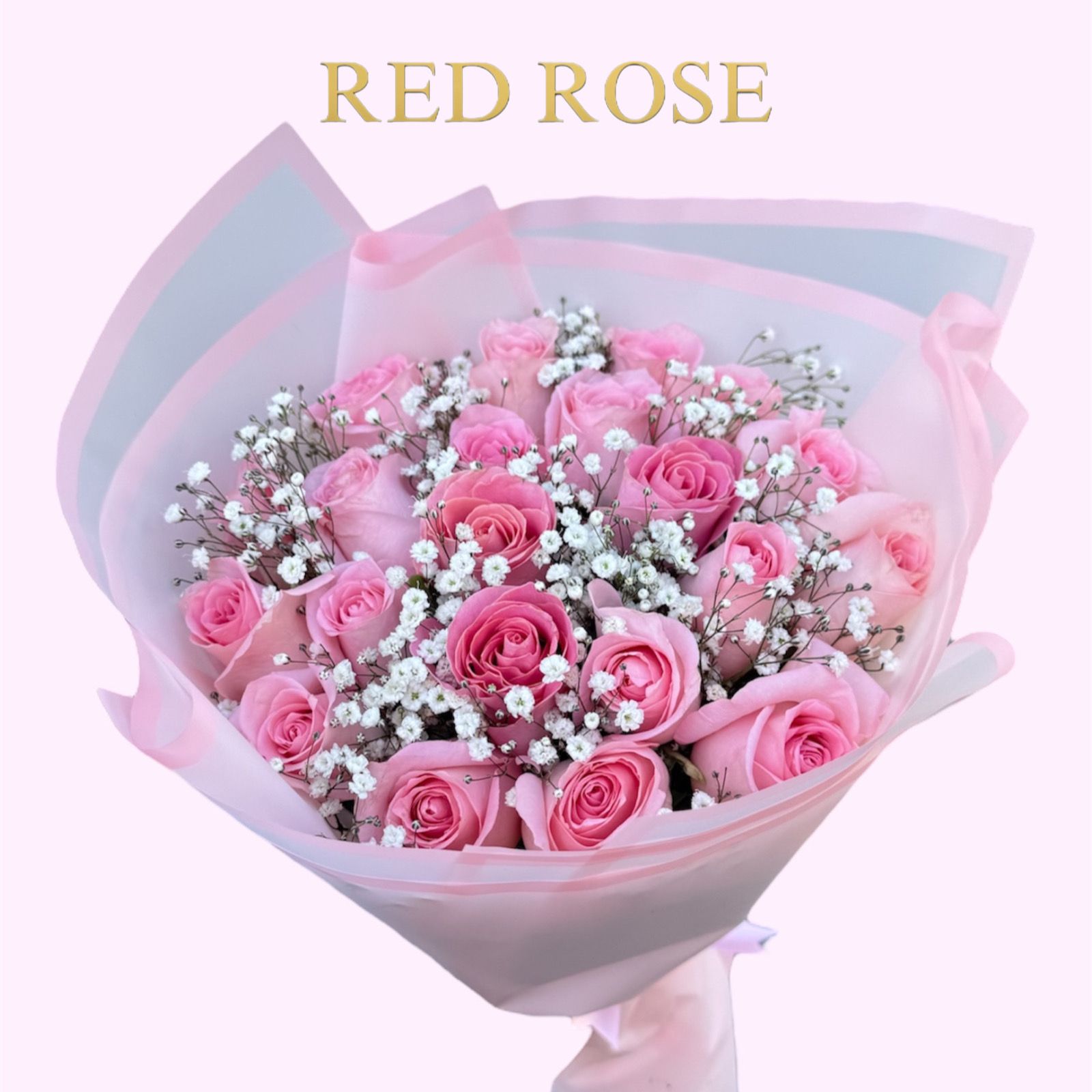 24 Pinks