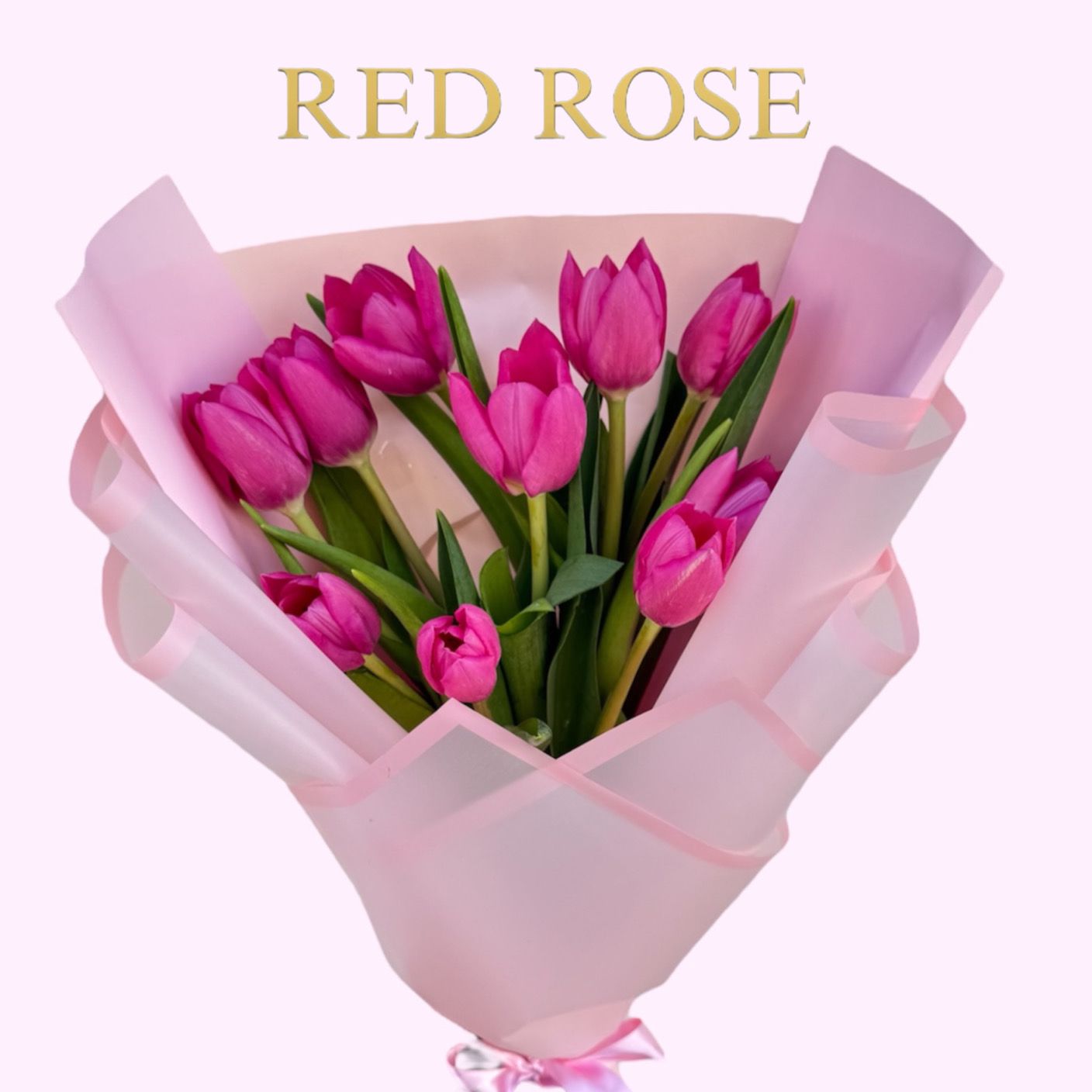 10 tulipanes 