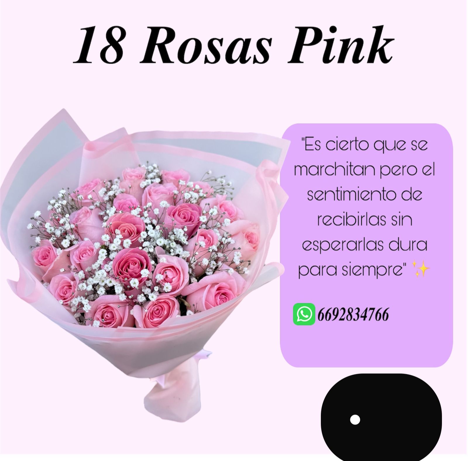 18 Rosas Pinks