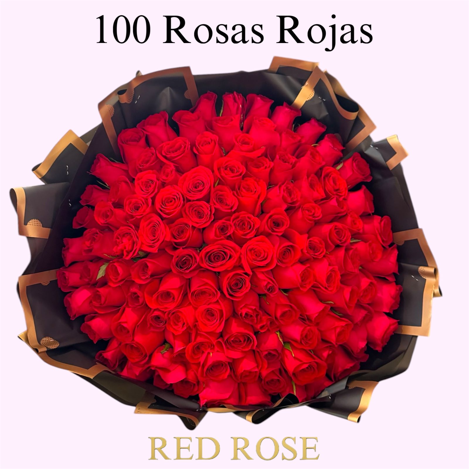 100 Rosas Rojas 