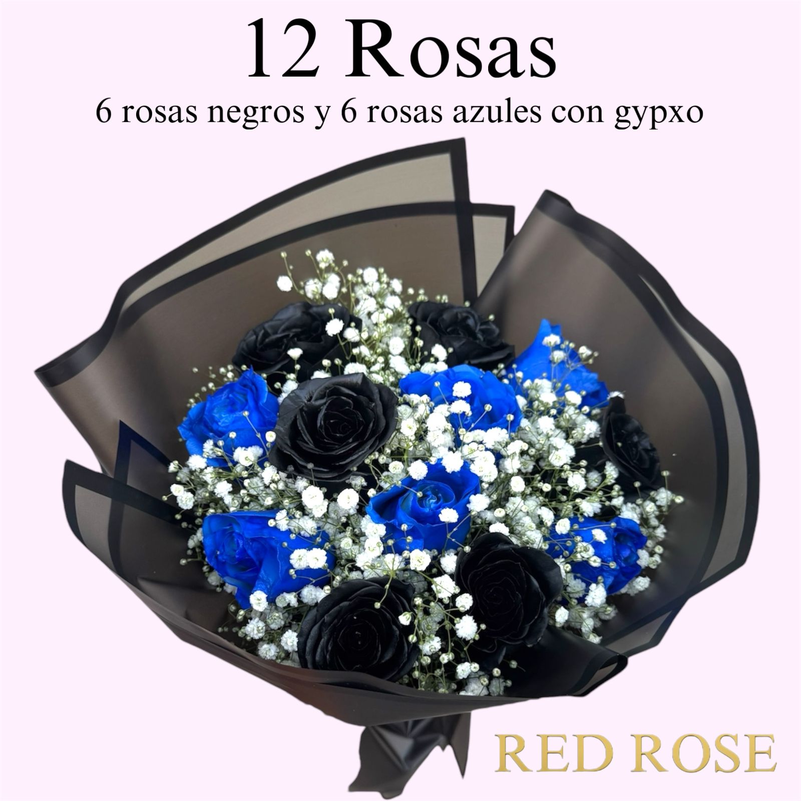 12 Rosas