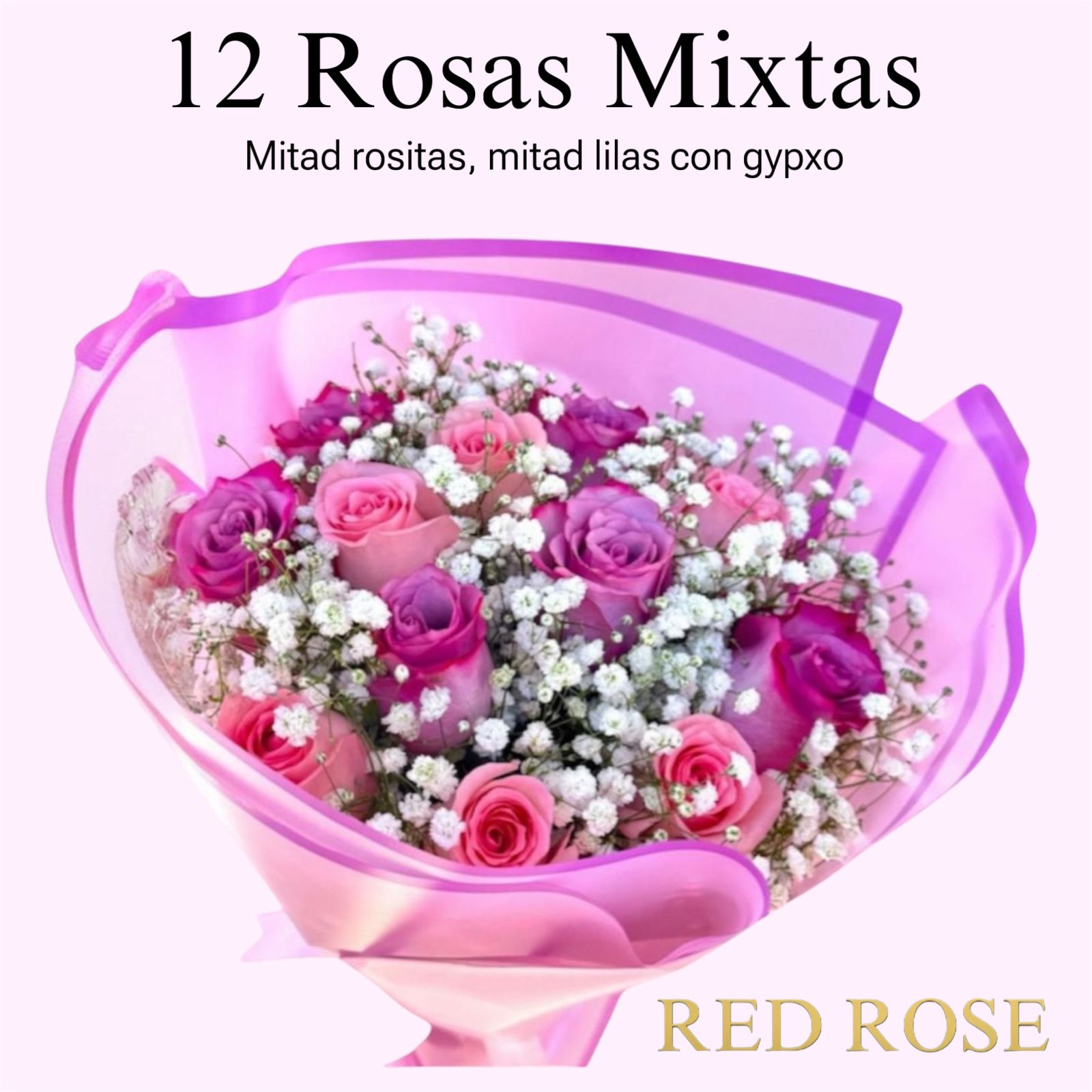 12 Rosas Mix