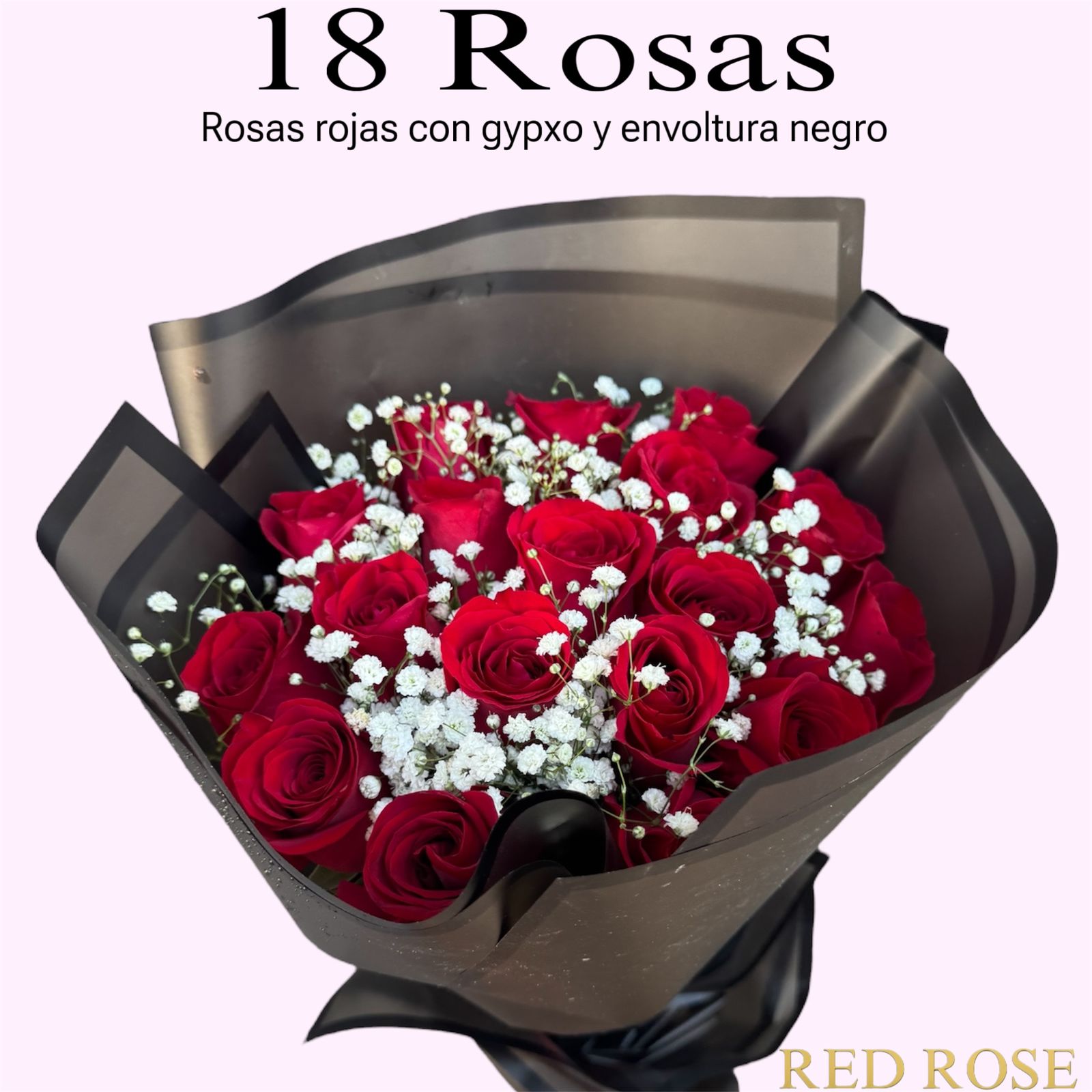 18 Rosas Rojas 