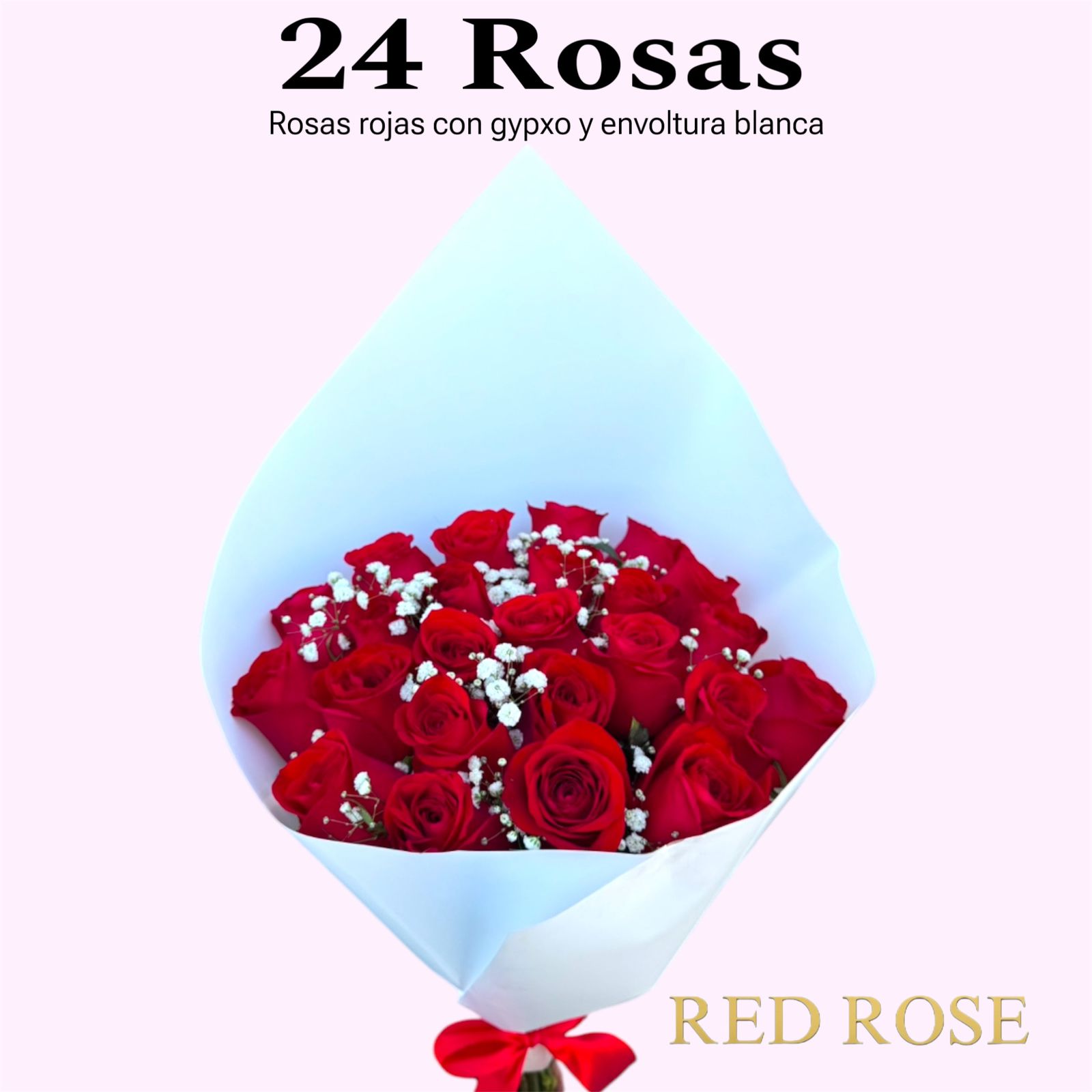 24 Rosas 