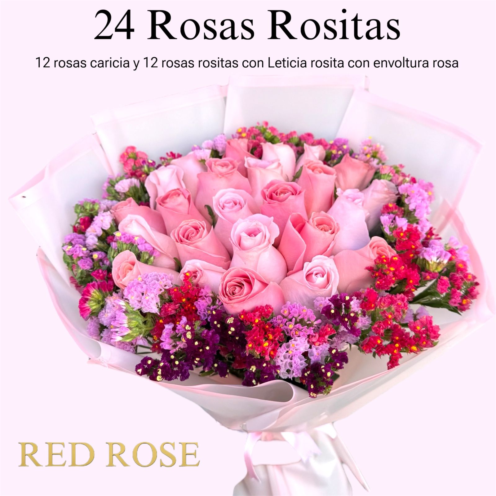 24 Rosas Rositas