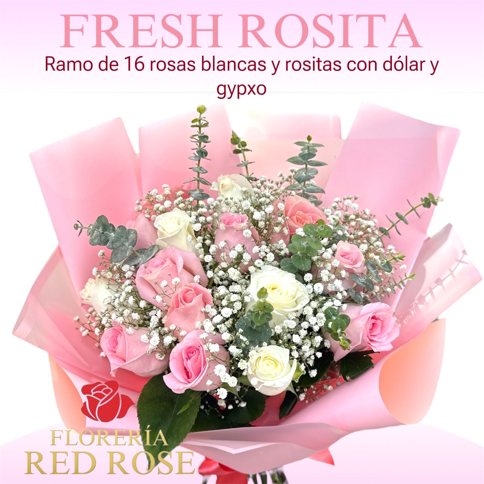 Fresh Rosita