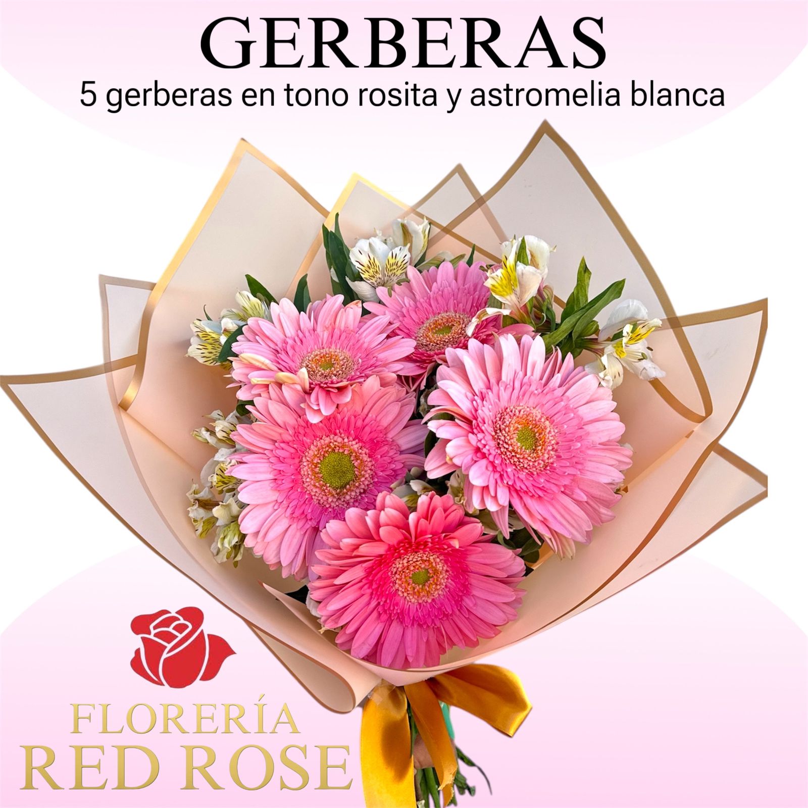 Gerberas