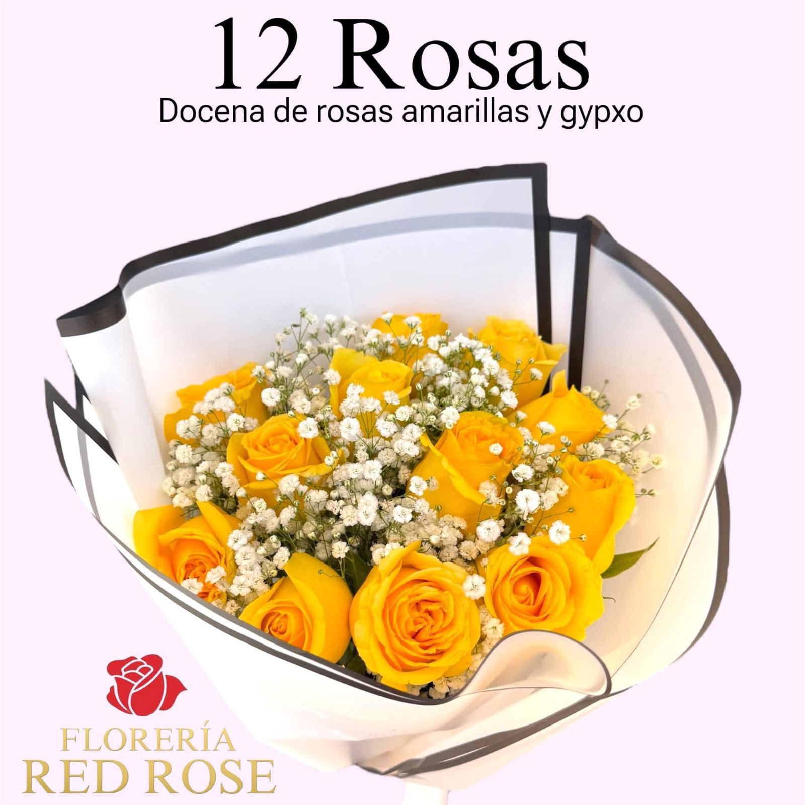 12 ROSAS