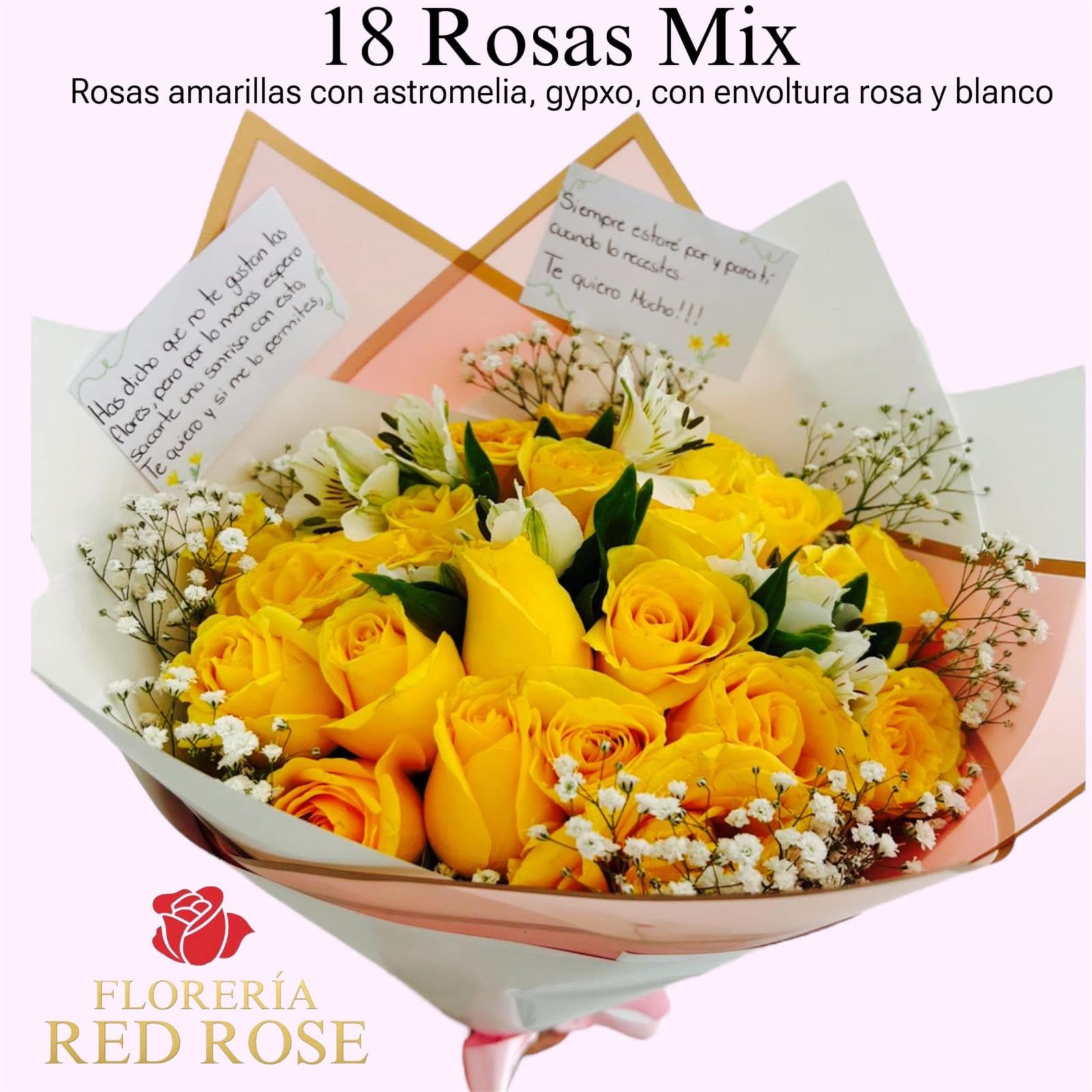 18 Rosas Mix
