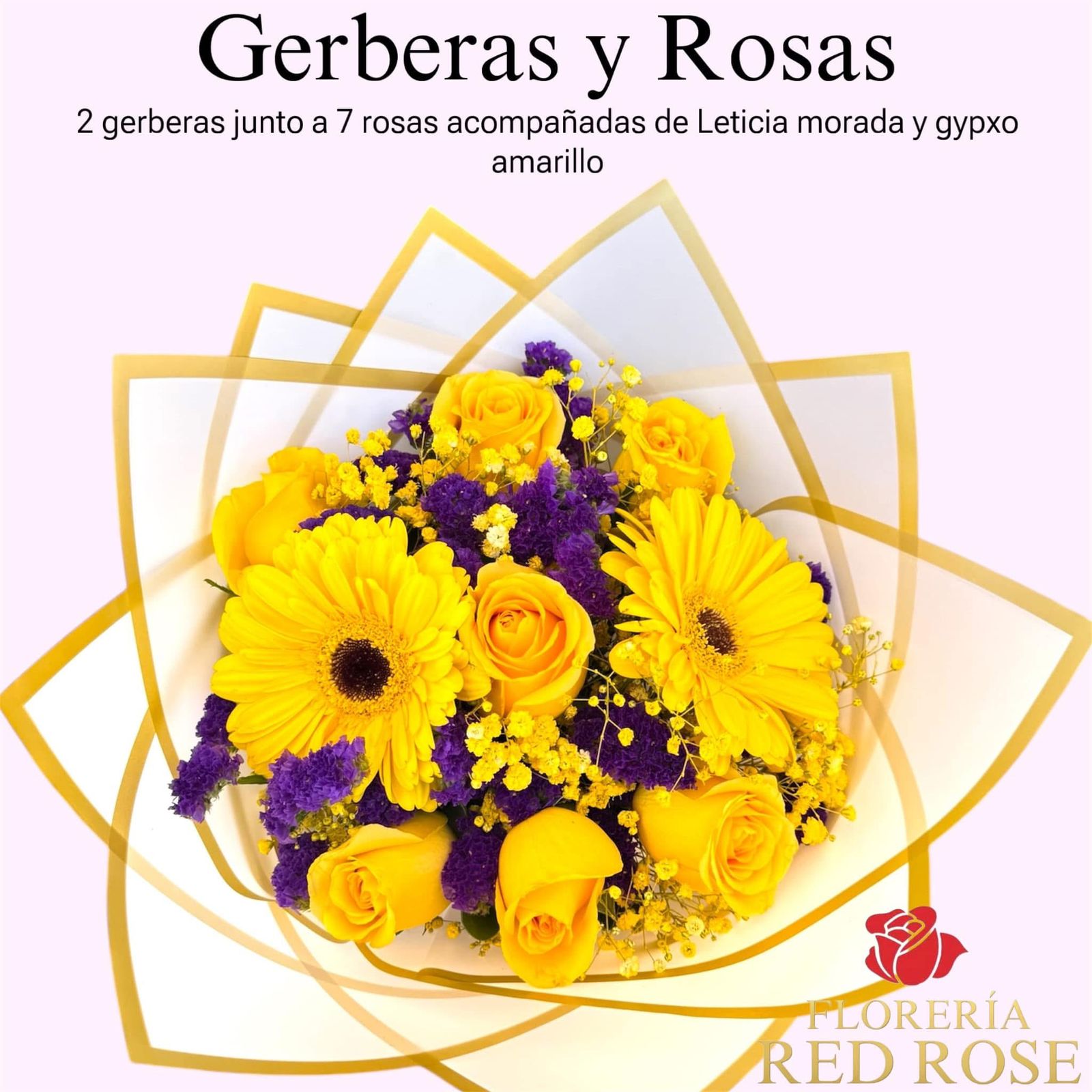 Gerberas Y Rosas