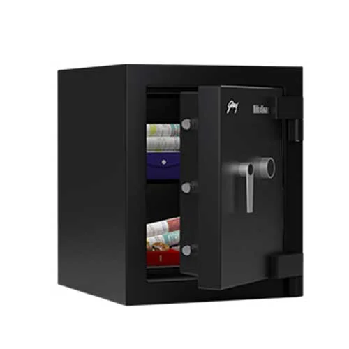 Godrej Matrix 1814 Key lock Home Locker