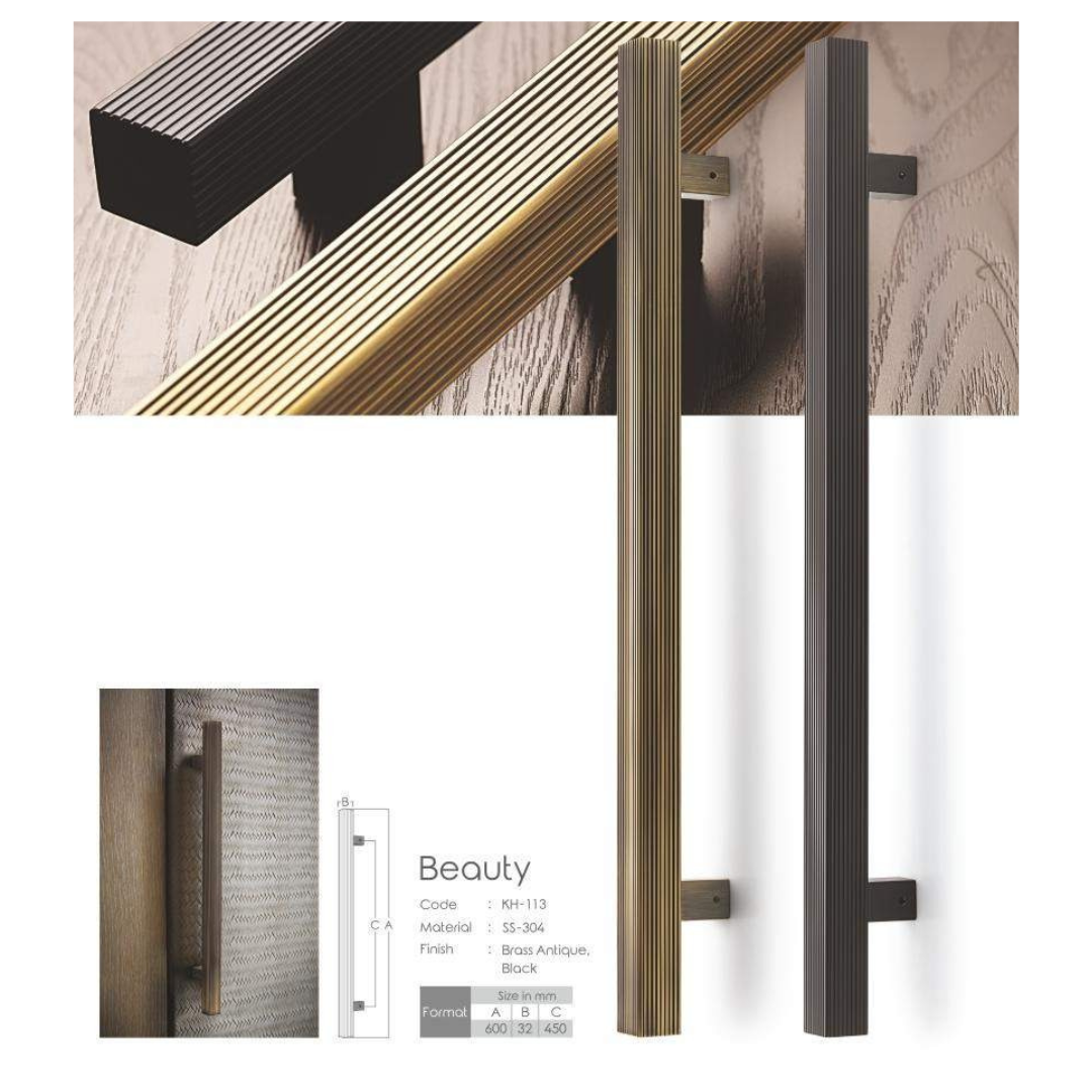 Beauty Main Door Handle (Koin) - Sleek & Sophisticated | Intterior100