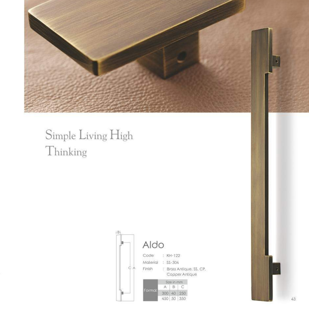 Aldo Main Door Handle (Koin) | Stylish & Sturdy | Intterior100