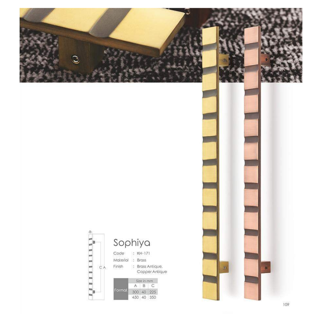 Sophiya Main Door Handle (Koin)  | Elegant & Durable | Intterior100