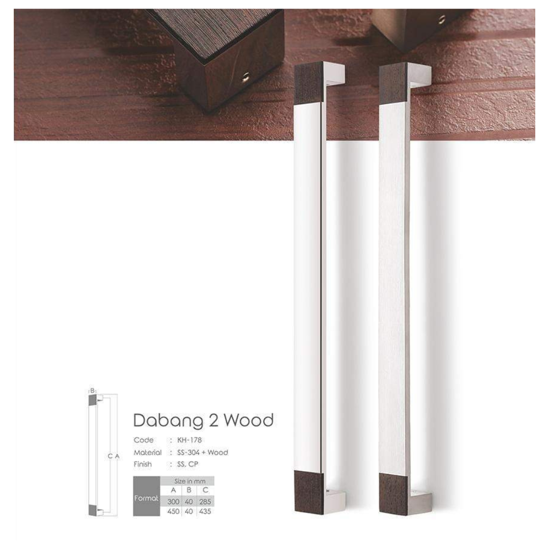 Dabang 2 Wood Main Door Handle (Koin) | Stylish & Durable | Intterior100