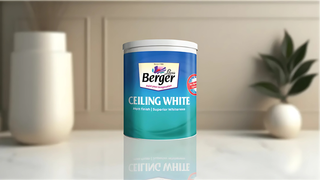 Ceiling White_Keshav Paints