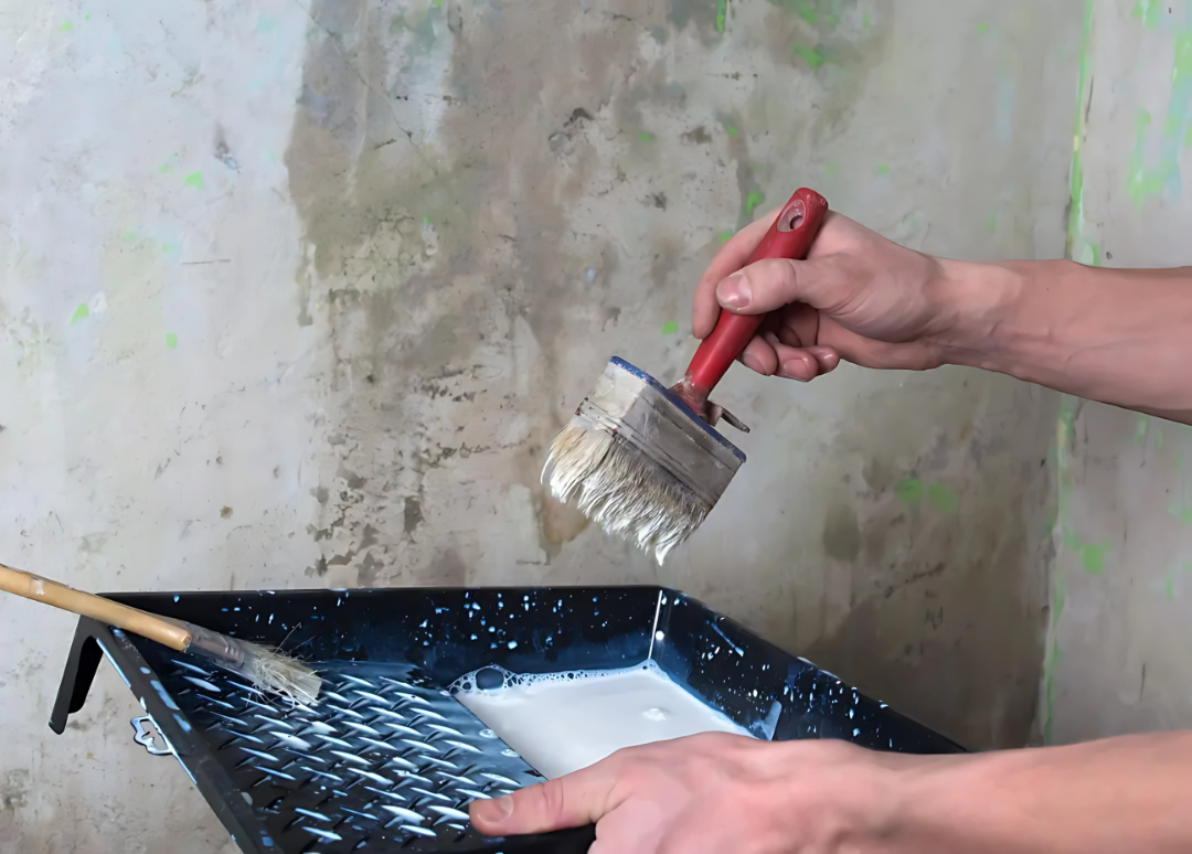 Dampstop Advanced_ Keshav Paints