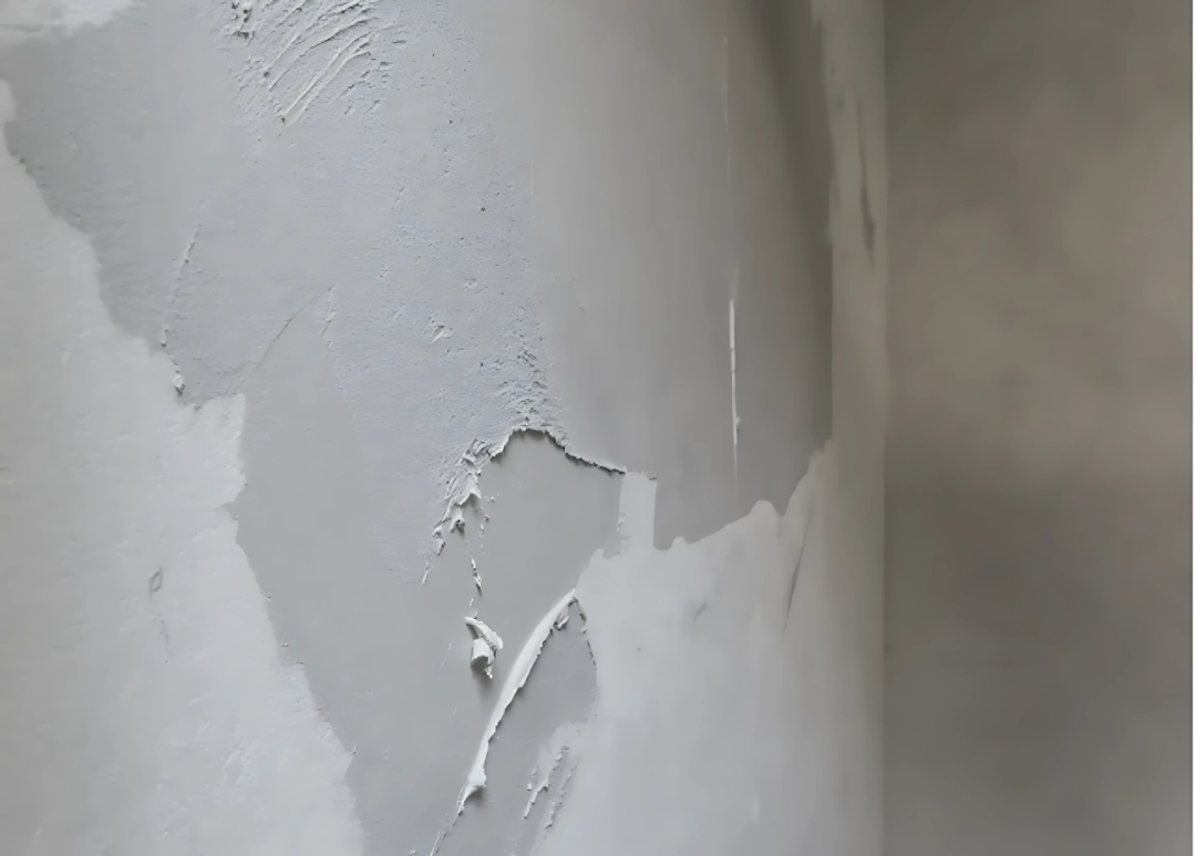 HomeShield Latex Plus_Keshav Paints