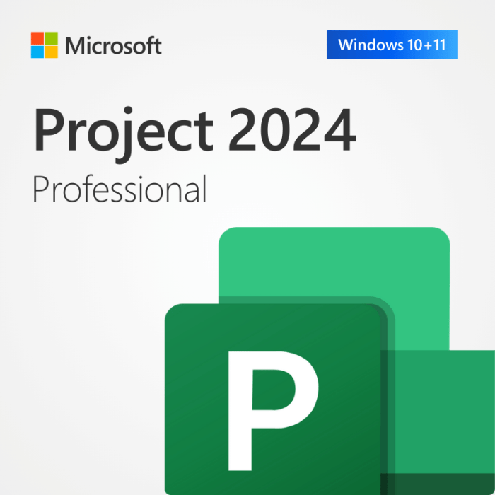 Microsoft Project Professionnel 2024 (PC)