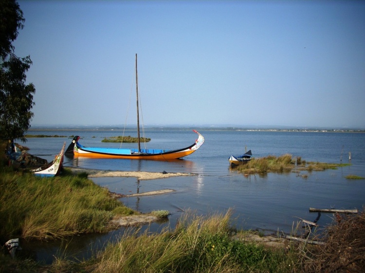 Ria de Aveiro | Descubra os segredos e paisagens únicas da Ria