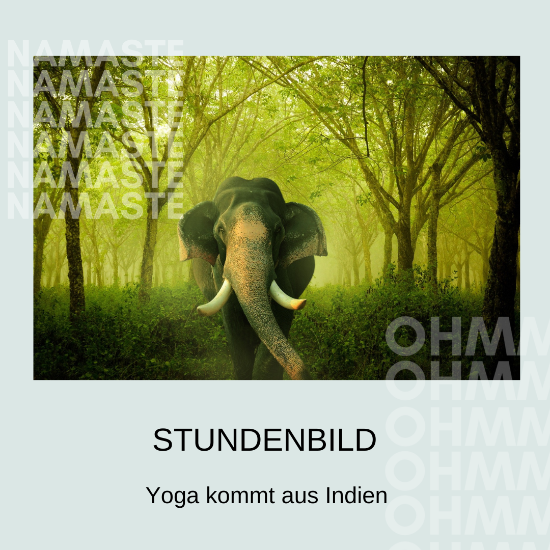 "Yoga kommt aus Indien - eine Reise in das Ursprungsland von Yoga"