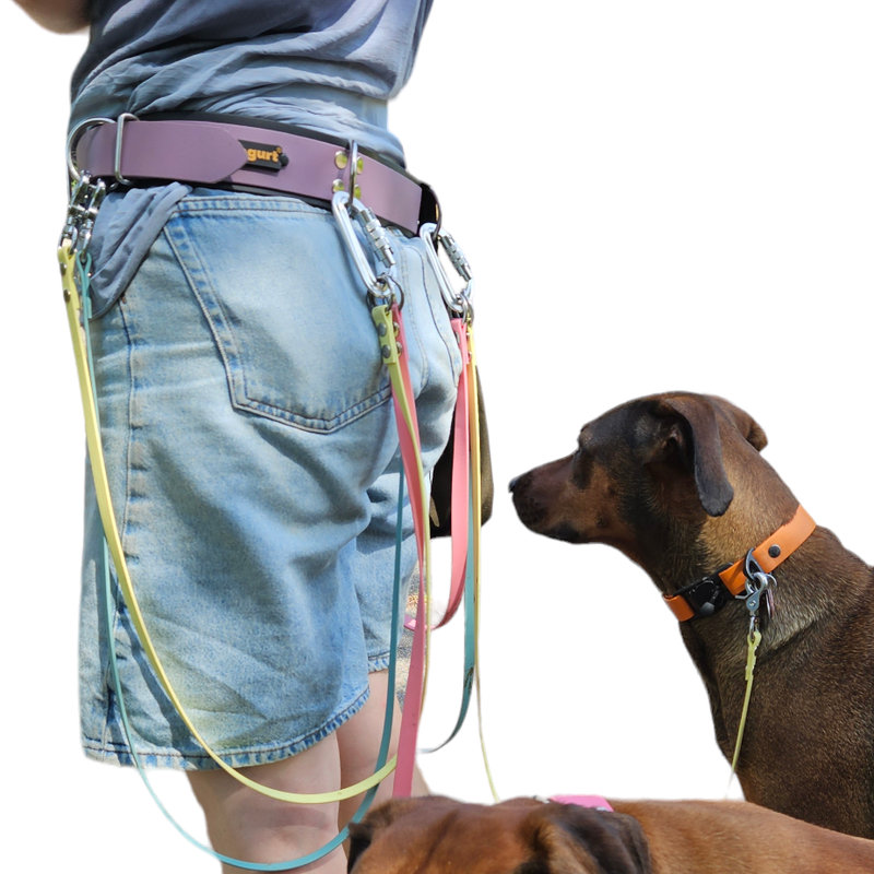 Mini Karabiner für Mehrhundehaltergürtel