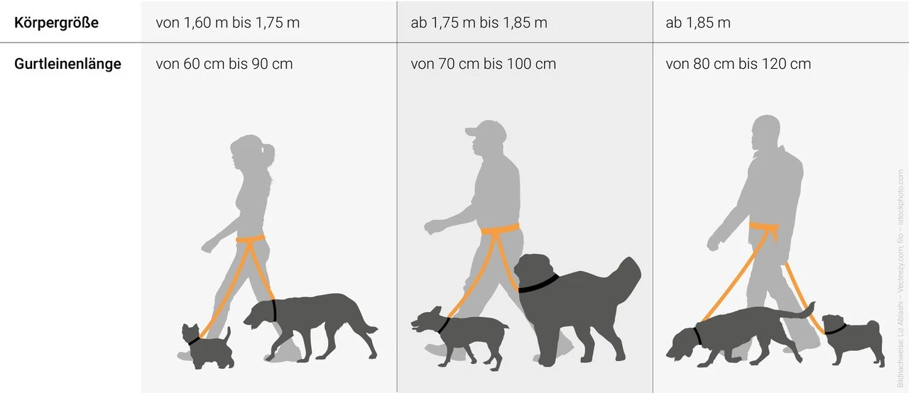 Gurtleine für den Gürtel - 13mm