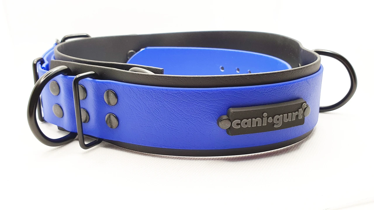 CANI•GURT® - DER BIOTHANE® GÜRTEL FÜR DOGWALKER (Schwarz Matt Beschlag)