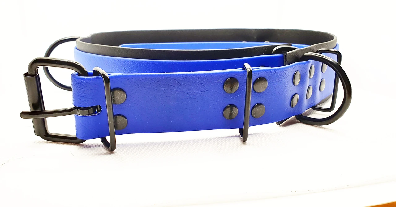 CANI•GURT® - DER BIOTHANE® GÜRTEL FÜR DOGWALKER (Schwarz Matt Beschlag)