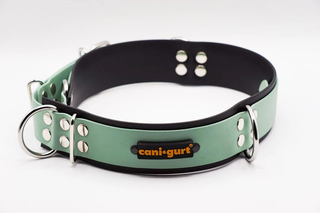 CANI•GURT® - DER BIOTHANE® GÜRTEL FÜR DOGWALKER (Edelstahlbeschlag)