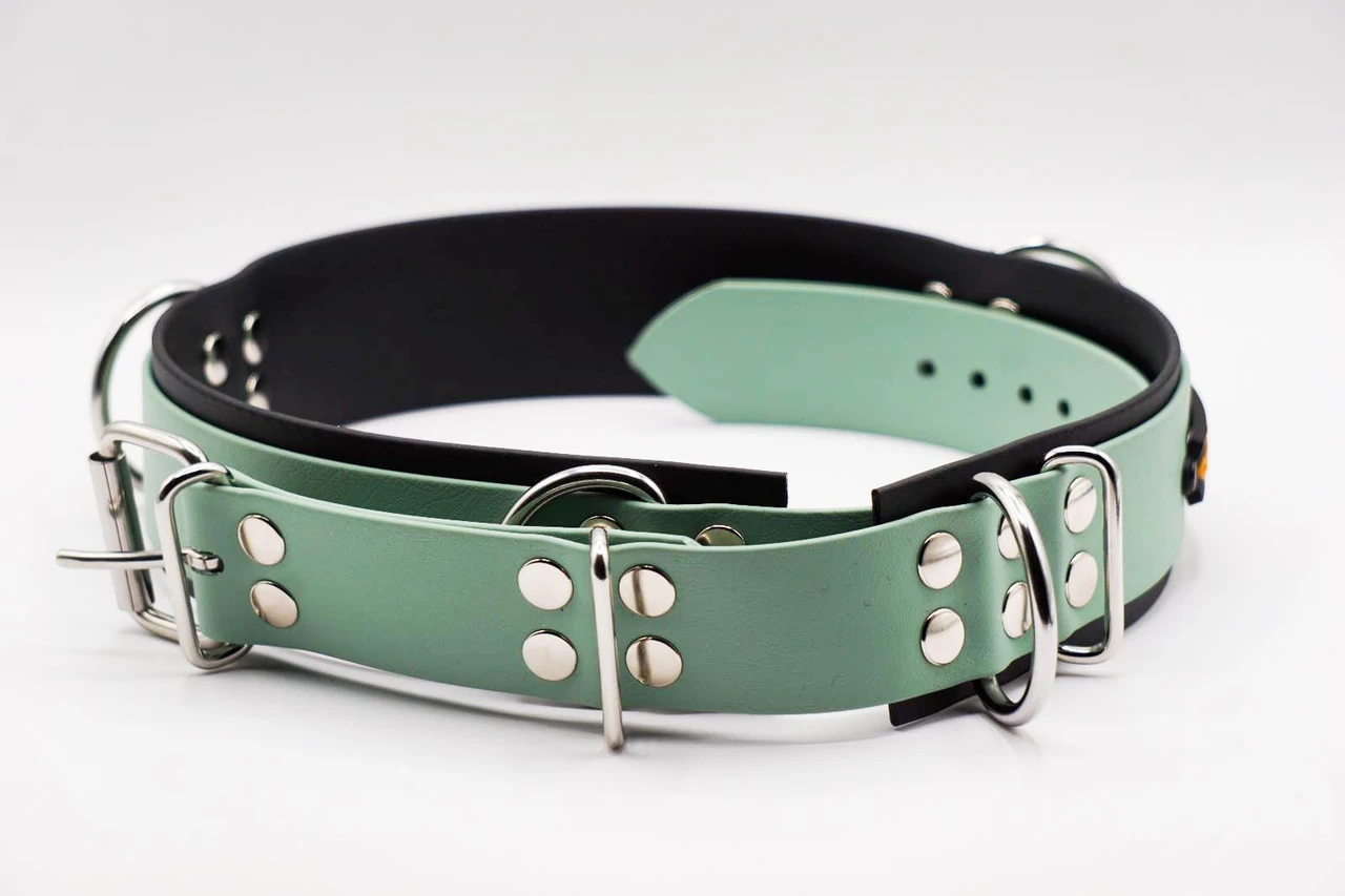 CANI•GURT® - DER BIOTHANE® GÜRTEL FÜR DOGWALKER (Edelstahlbeschlag)