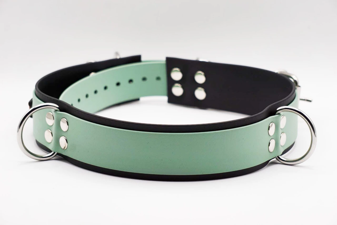 CANI•GURT® - DER BIOTHANE® GÜRTEL FÜR DOGWALKER (Edelstahlbeschlag)